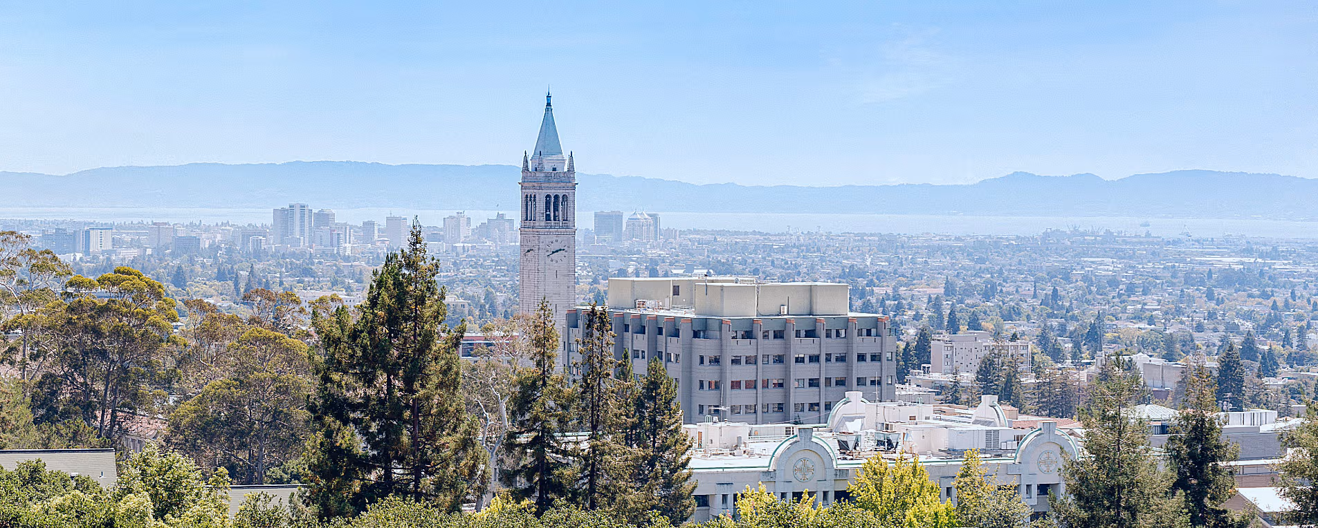 Corporate catering in Berkeley and Emeryville — Superfine Kitchen office meal delivery